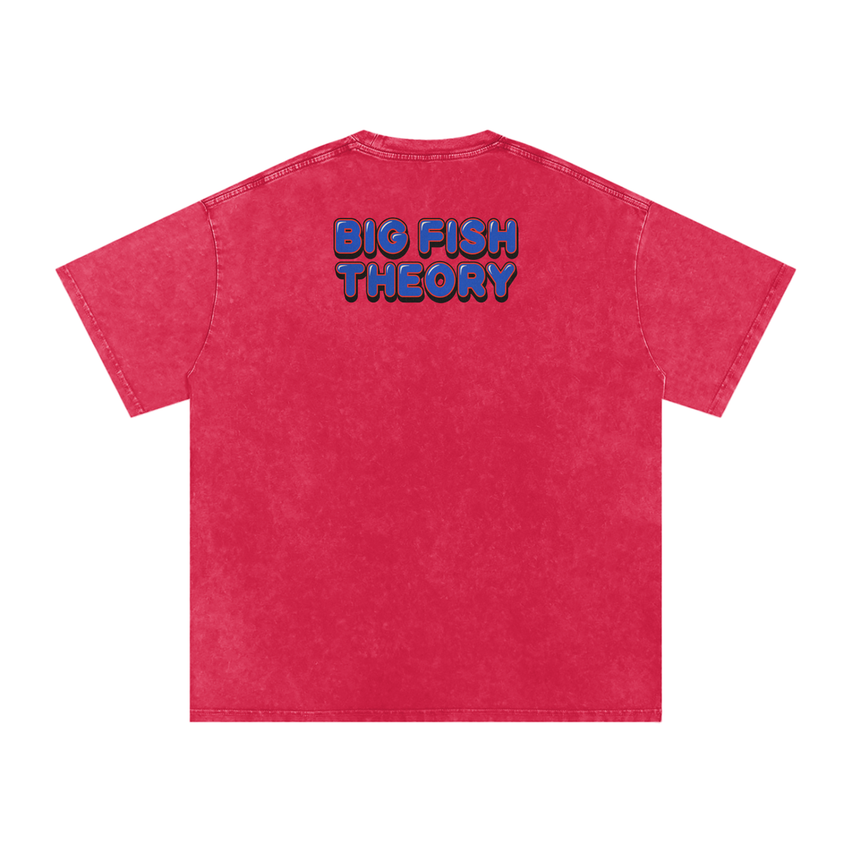 Big Fish Theory - Snow Washed Oversized Cotton T-Shirt