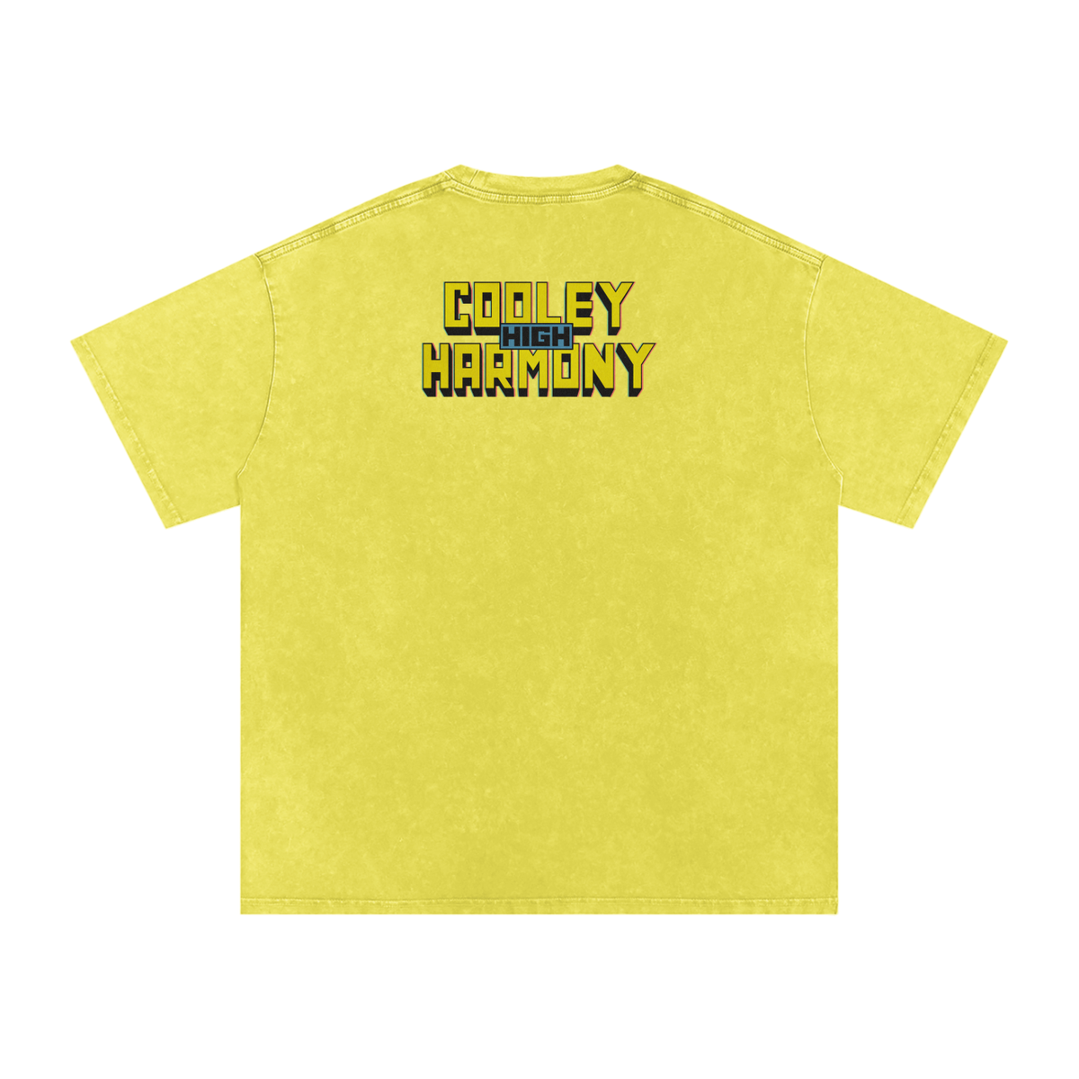 Cooleyhighharmony - Snow Washed Oversized Cotton T-Shirt