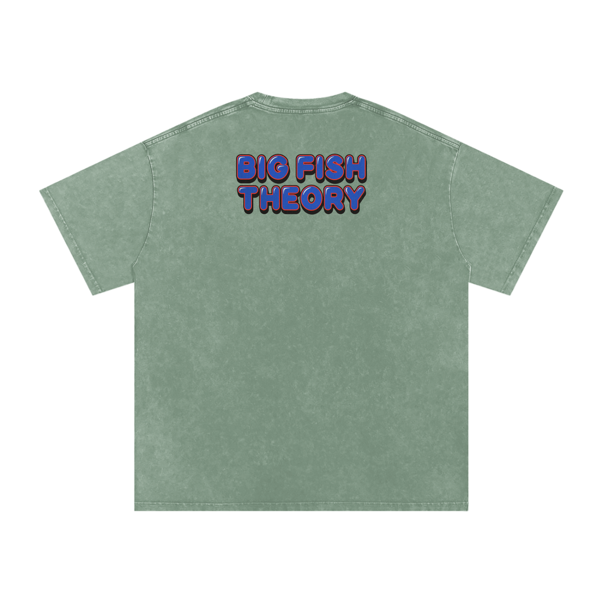Big Fish Theory - Snow Washed Oversized Cotton T-Shirt