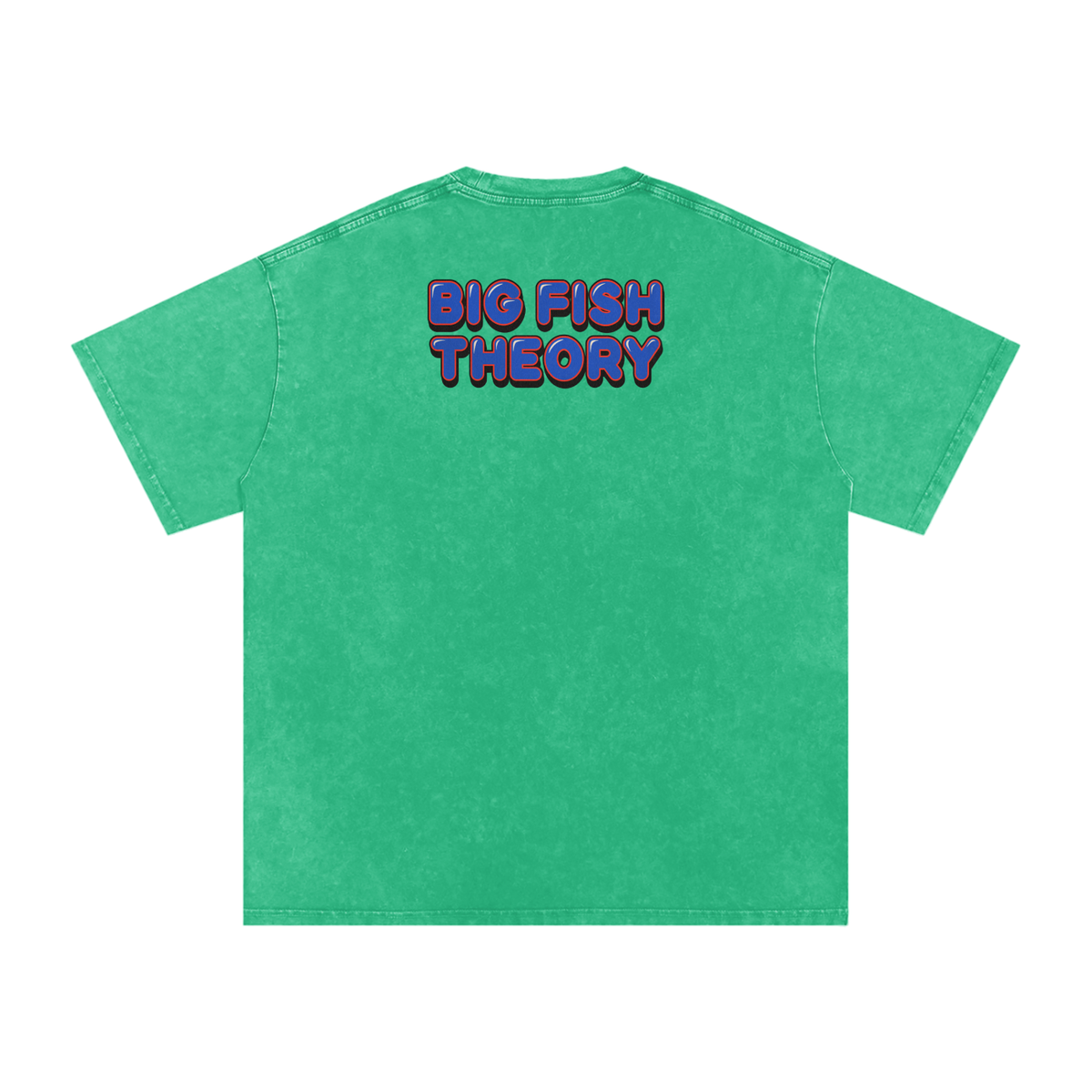 Big Fish Theory - Snow Washed Oversized Cotton T-Shirt