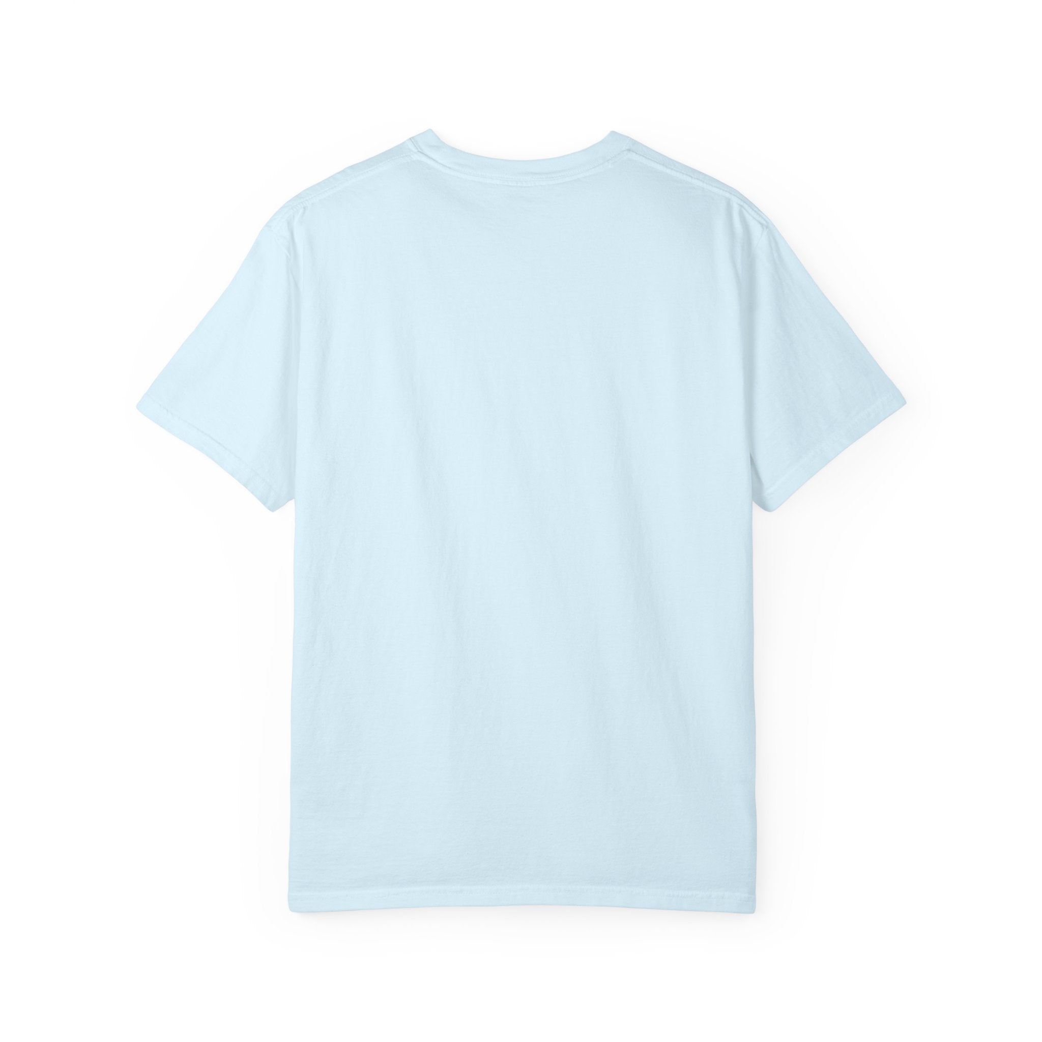 Regulate - Unisex Comfort Colors 1717 Garment-Dyed Heavyweight Crew Neck T-shirt