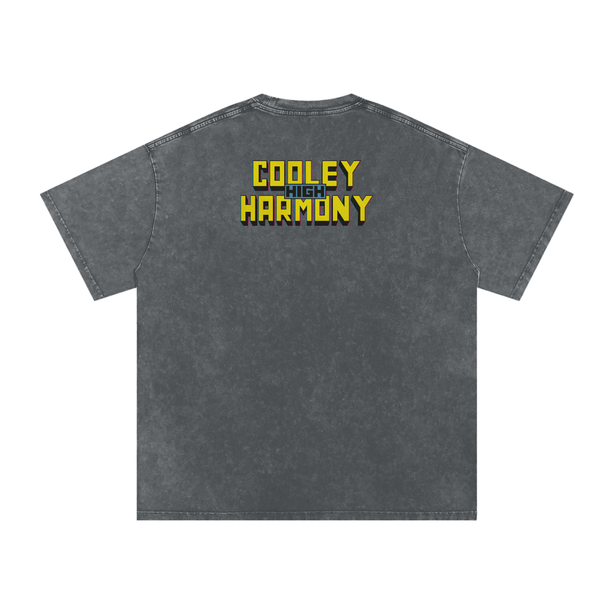 Cooleyhighharmony - Snow Washed Oversized Cotton T-Shirt