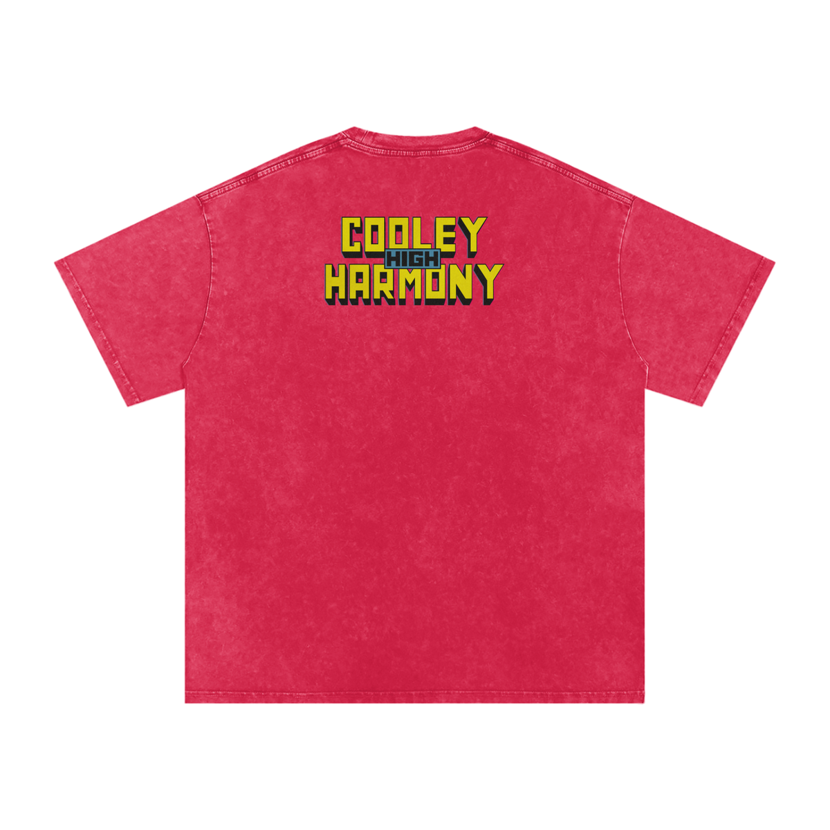 Cooleyhighharmony - Snow Washed Oversized Cotton T-Shirt