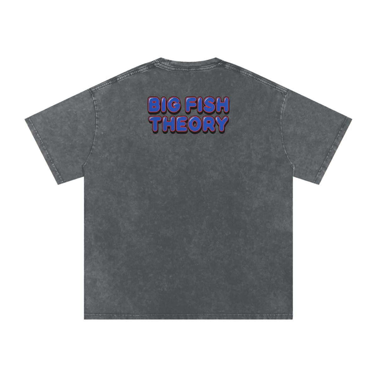 Big Fish Theory - Snow Washed Oversized Cotton T-Shirt