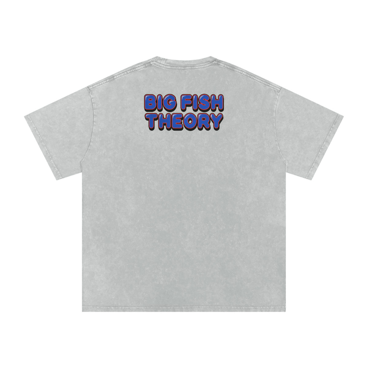Big Fish Theory - Snow Washed Oversized Cotton T-Shirt