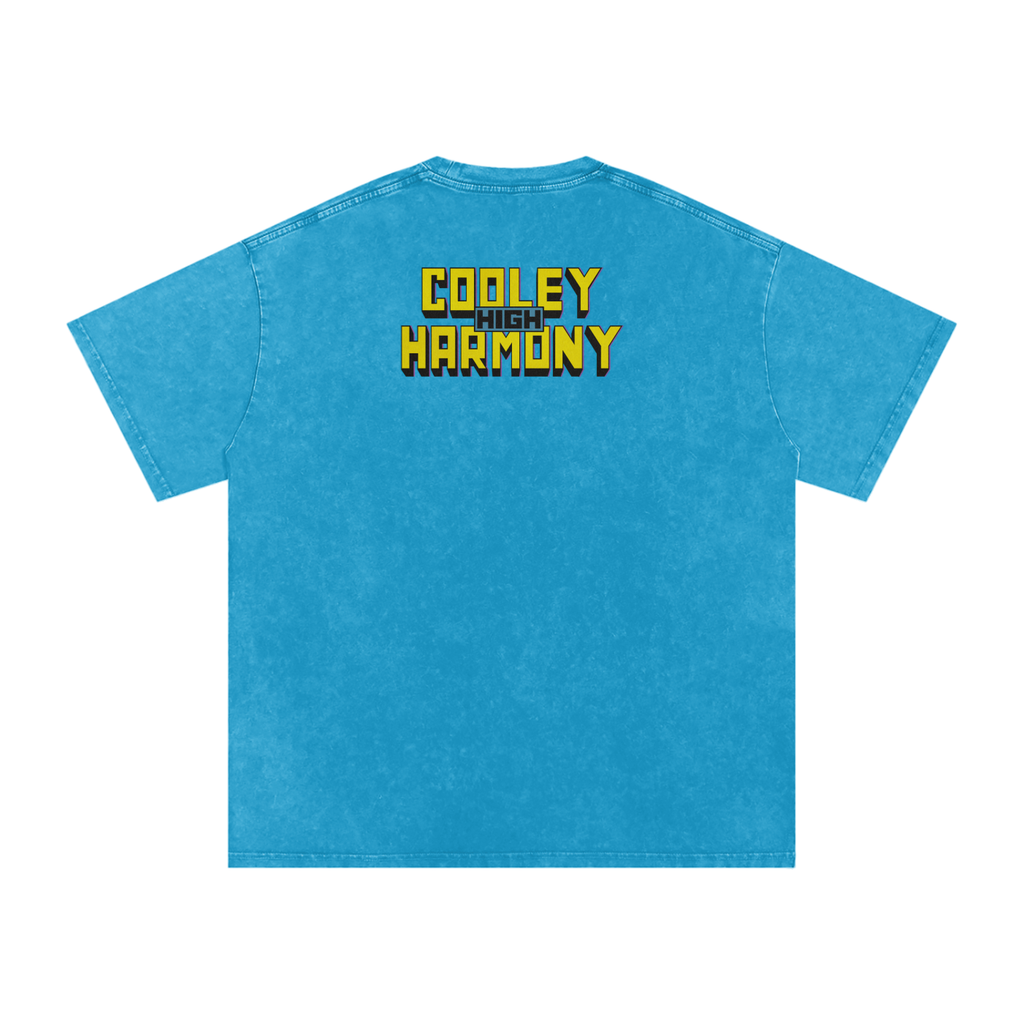 Cooleyhighharmony - Snow Washed Oversized Cotton T-Shirt