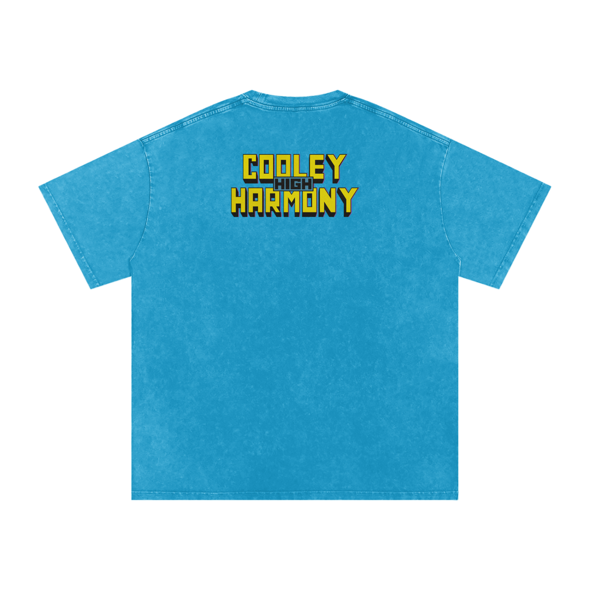 Cooleyhighharmony - Snow Washed Oversized Cotton T-Shirt