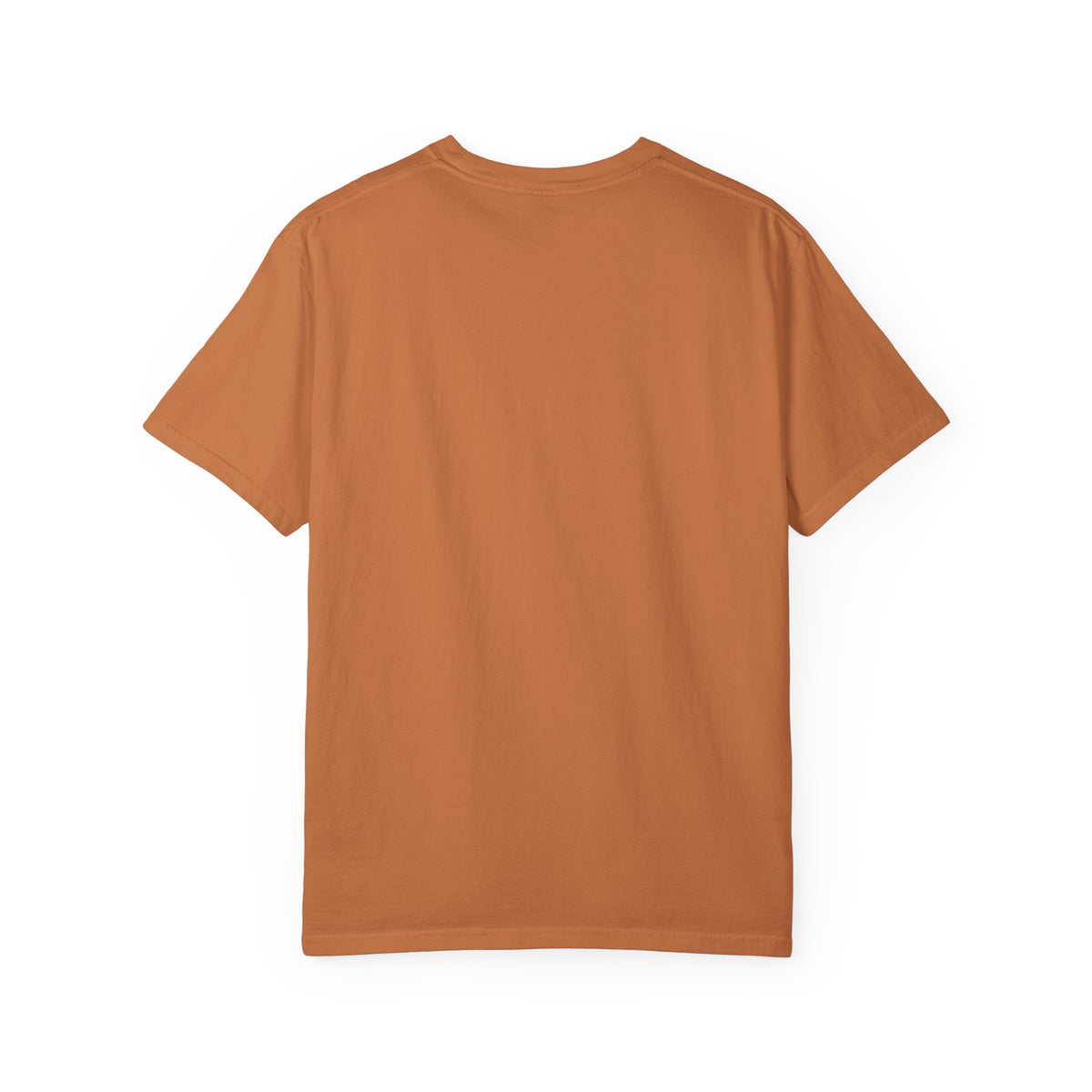 Pardon Me - Unisex Comfort Colors T-shirt