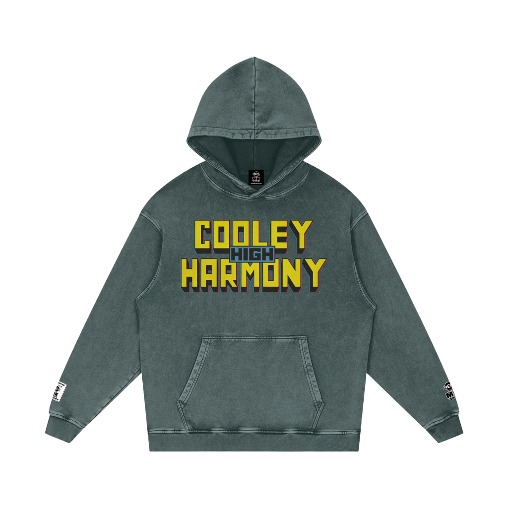 Cooleyhighharmony - Snow Washed Loose Cotton Hoodie