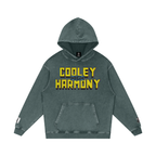 Cooleyhighharmony - Snow Washed Loose Cotton Hoodie