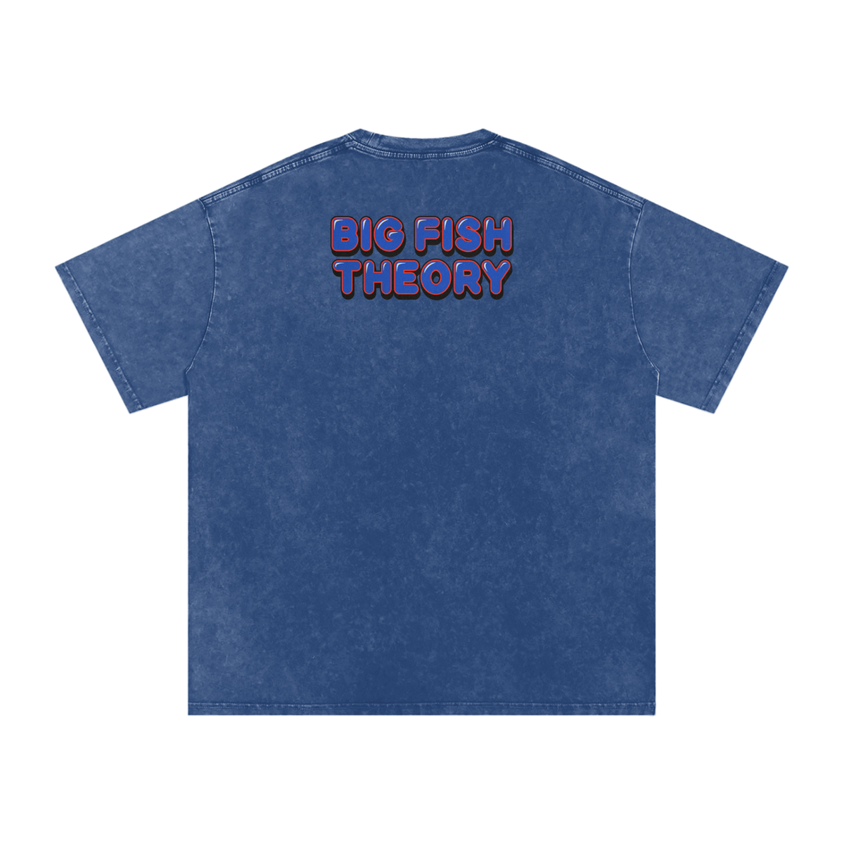 Big Fish Theory - Snow Washed Oversized Cotton T-Shirt