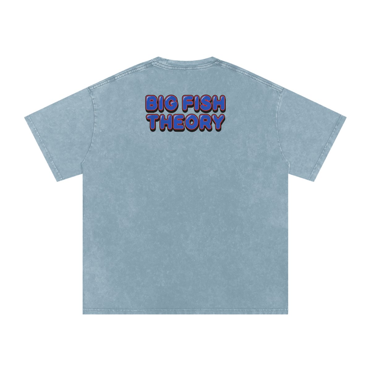 Big Fish Theory - Snow Washed Oversized Cotton T-Shirt