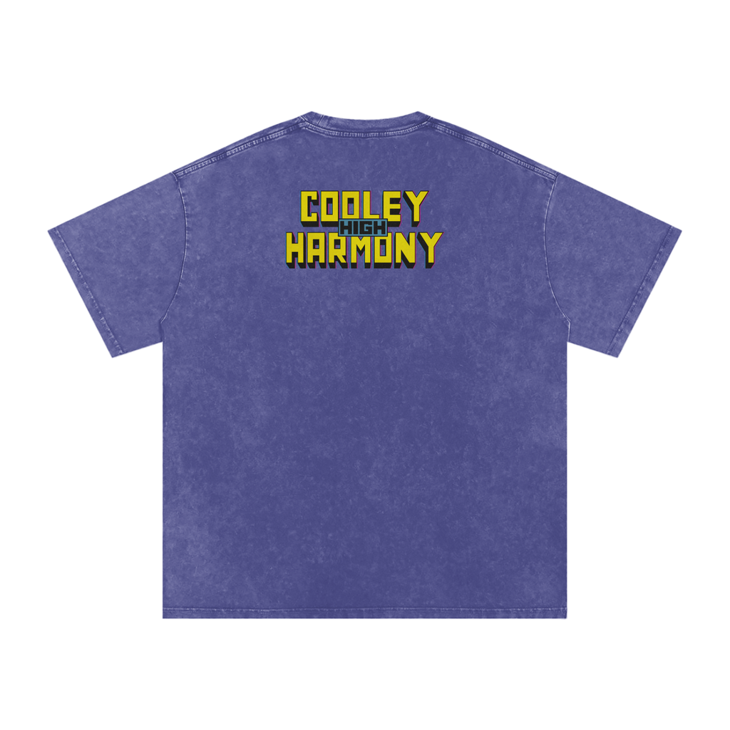 Cooleyhighharmony - Snow Washed Oversized Cotton T-Shirt
