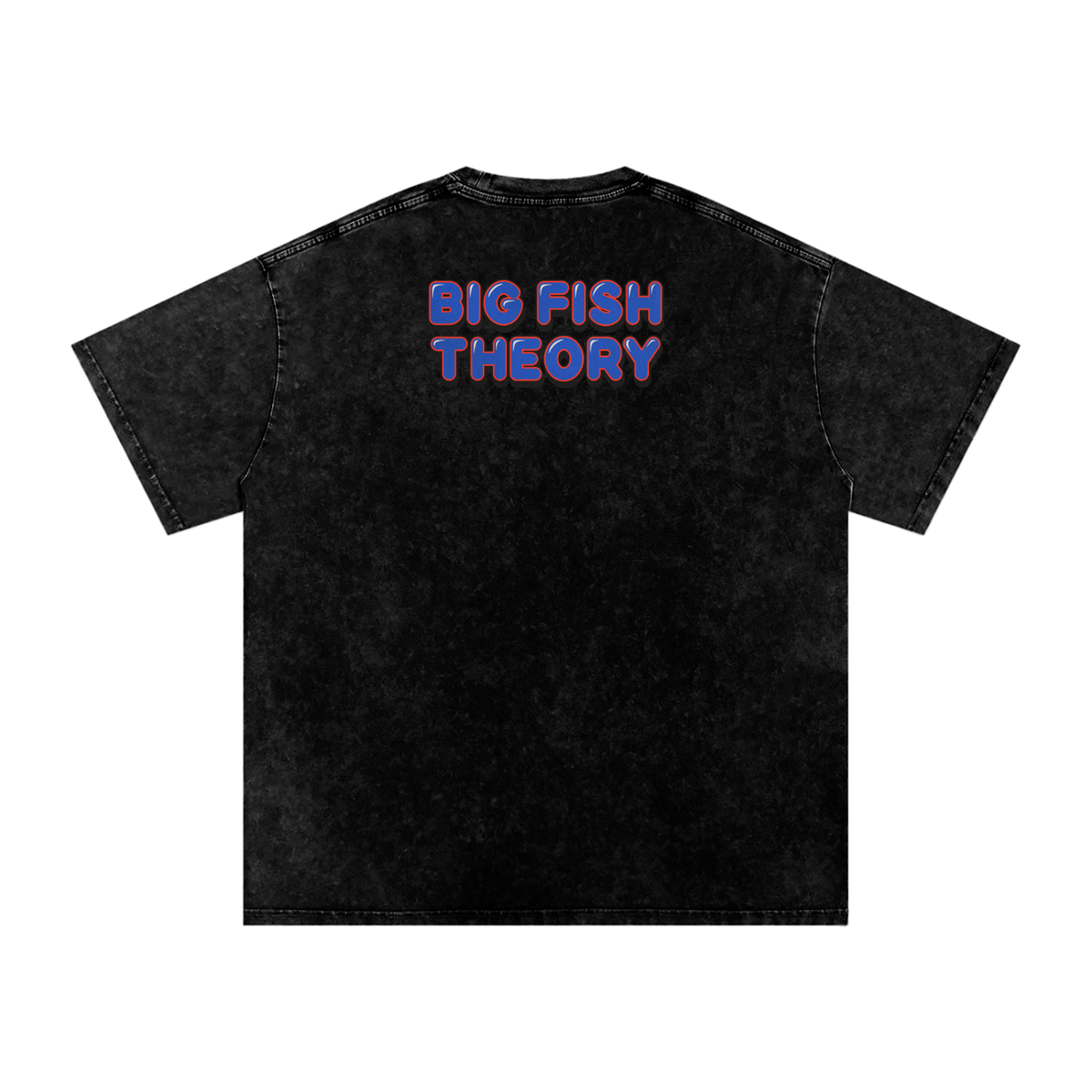 Big Fish Theory - Snow Washed Oversized Cotton T-Shirt