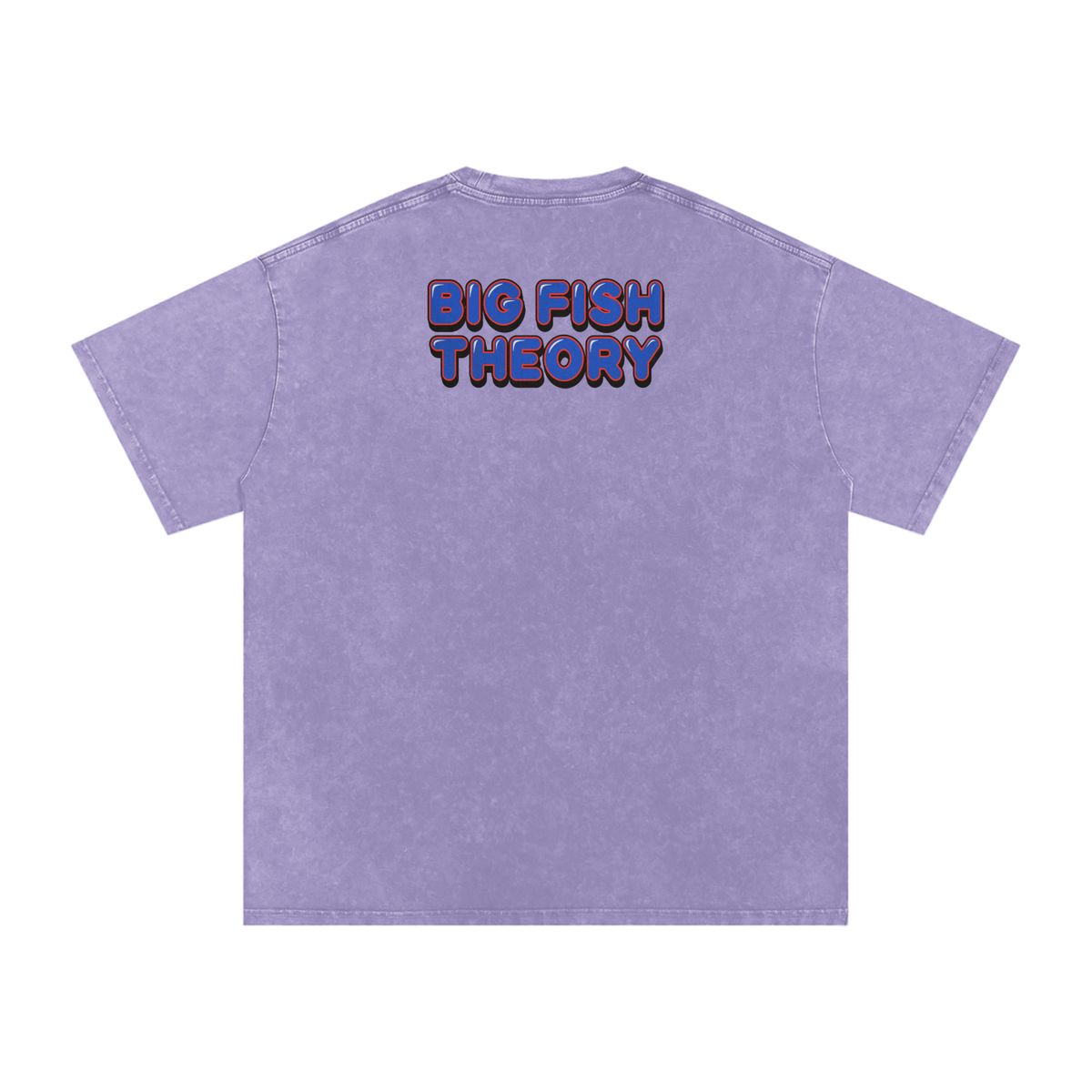 Big Fish Theory - Snow Washed Oversized Cotton T-Shirt