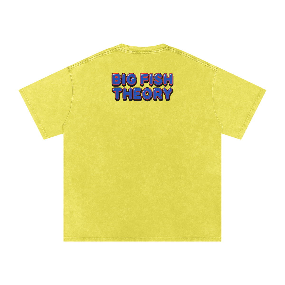 Big Fish Theory - Snow Washed Oversized Cotton T-Shirt