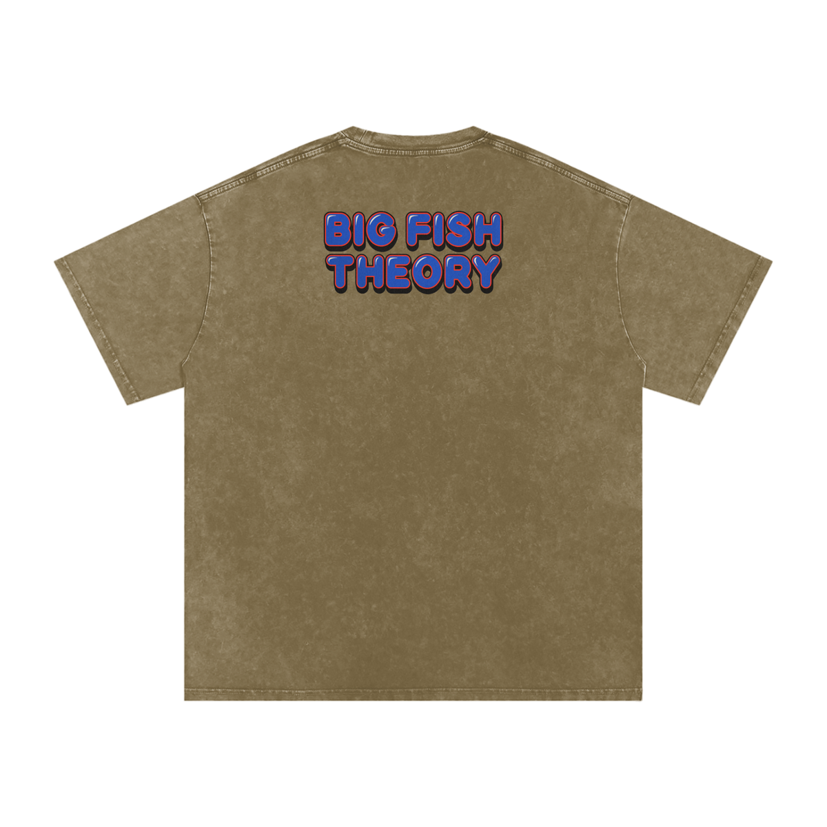 Big Fish Theory - Snow Washed Oversized Cotton T-Shirt